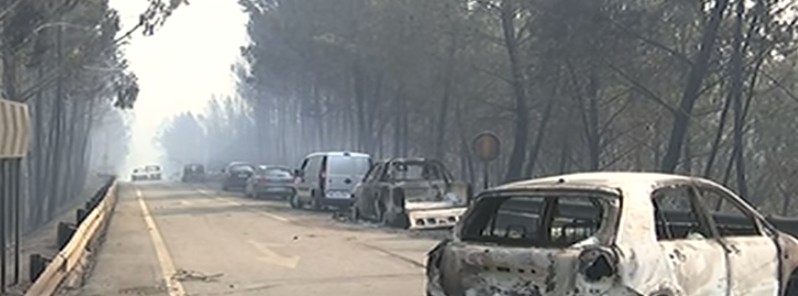 Portugal wildfire kills more than 62, most of them in cars