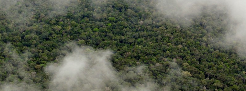 New study shows the Amazon makes its own rainy season