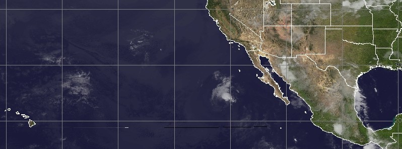 Tropical Storm “Fernanda” forms in the Eastern Pacific Ocean