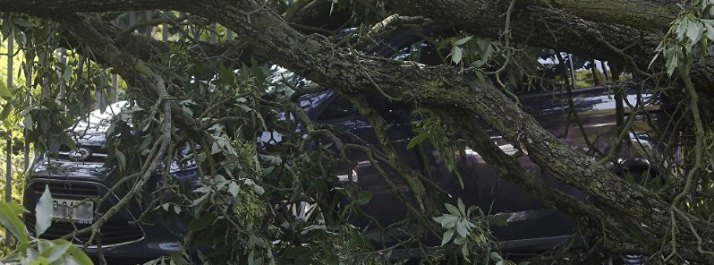 5 killed, 36 injured, 500 000 homes without power after severe storm hits Poland
