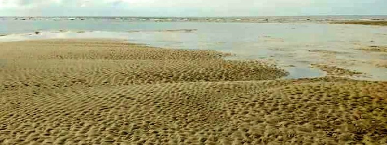 why-is-ocean-receding-brazil-dry-tide