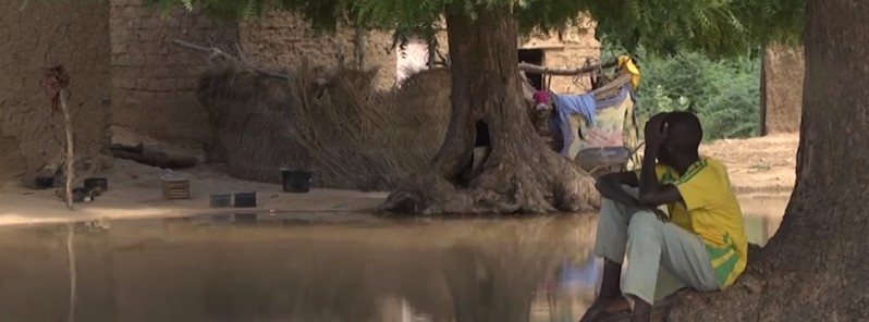 56 dead, 200 000 homeless and 11 000 homes destroyed as floods ravage Niger