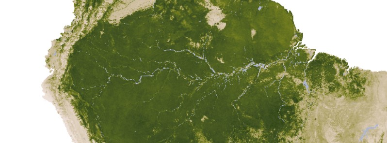The Amazon makes its own wet season