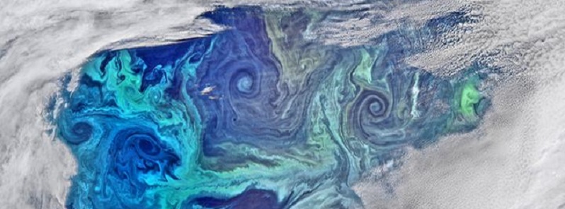 Southern Ocean drives massive bloom of tiny phytoplankton