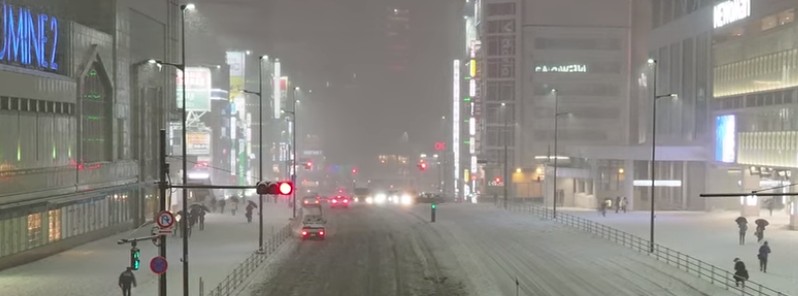 Rare snow, heaviest since 2014 brings Tokyo to a standstill
