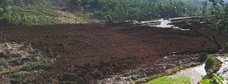 Deadly landslide hits Java, over a dozen missing