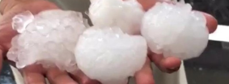 Unprecedented hailstorm hits Saudi Arabia, injures more than 50 people
