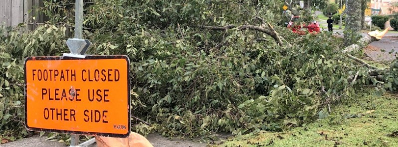 Unprecedented 200 000 homes without power as storm hits Auckland, New Zealand