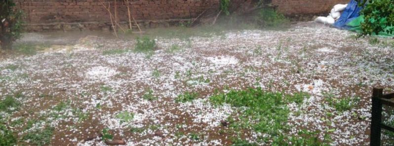 over-1500-houses-damaged-farms-devastated-as-hailstorms-hit-northern-vietnam