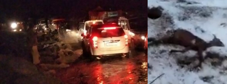 intense-hailstorm-hits-rajouri-district-jammu-and-kashmir-killing-over-110-animals