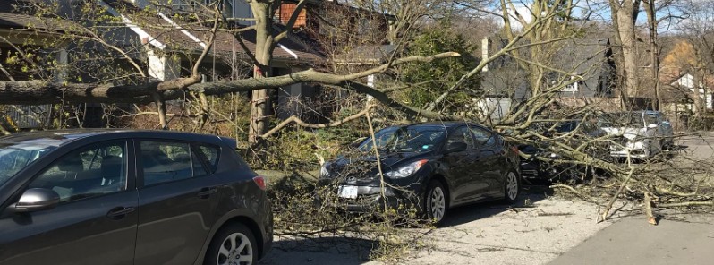 Fierce windstorm leaves 300 000 customers without power, kills 3 in Ontario, Canada