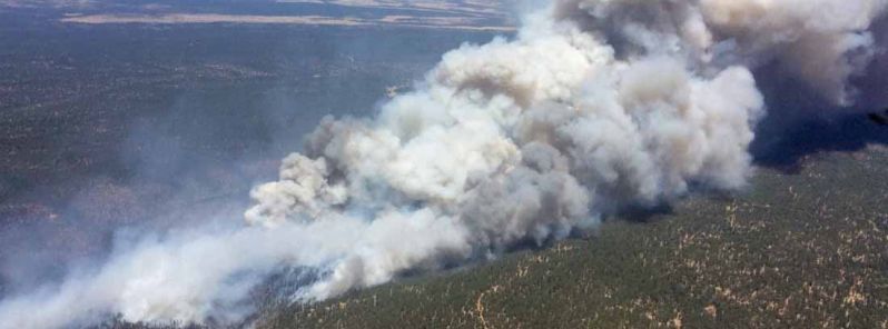 Arizona governor declares state of emergency as Tinder Fire chars over 11 000 acres
