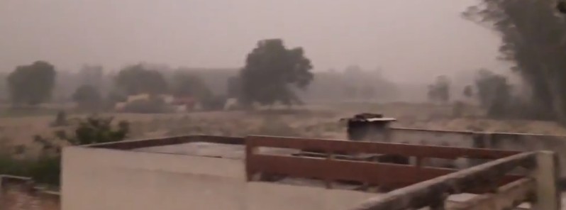at-least-14-killed-after-heavy-rain-strong-winds-dust-storms-and-thunderstorms-hit-pakistan