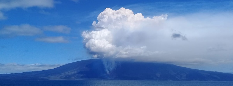 fernandina-volcano-erupts-lava-flow-reaching-the-ocean-galapagos