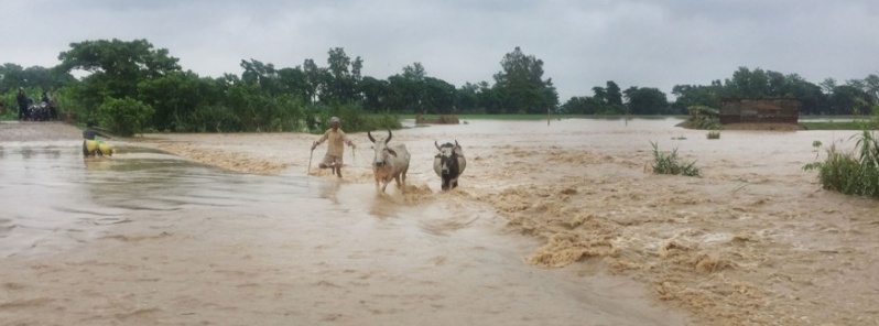 Three major rivers above danger mark, 17 killed in floods and landslides across Nepal