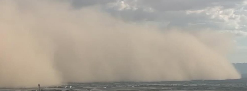 Intense dust storm hits Senegal, causing damage and killing livestock