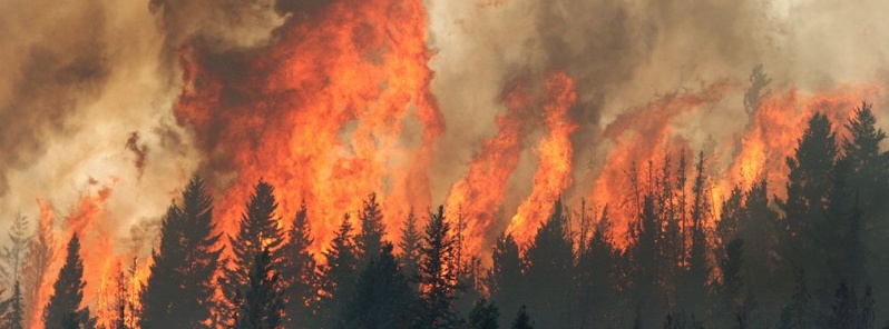 B.C. declares state of emergency as nearly 600 wildfires burn across the province, Canada