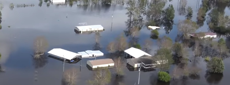 Massive floods kill 3.4 million poultry and 5500 hogs, estimates on crop losses still not available, North Carolina