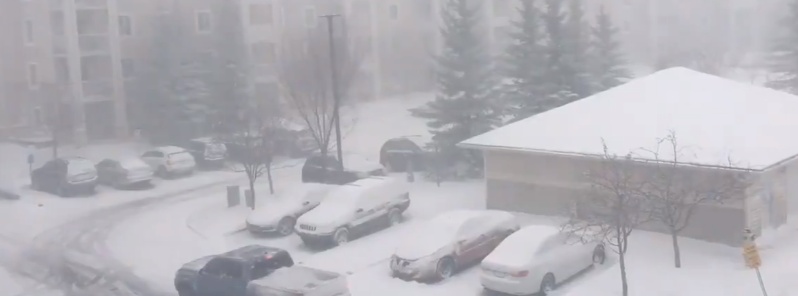 Late-season blizzard hits Alberta, zero visibility leads to more than 150 crashes, Canada