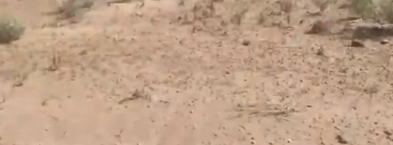 locusts-outbreak-comes-from-arabian-peninsula-threatens-iran