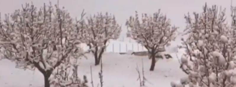 Snow and hail damage crops, block multiple roads across Lebanon