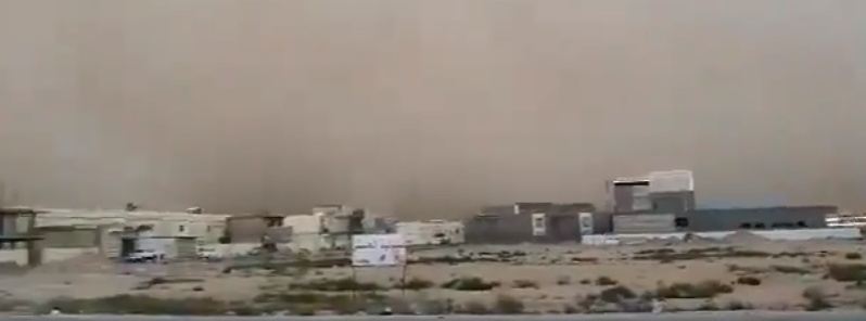 At least 5 killed, 61 injured as severe dust storm sweeps through Iraq