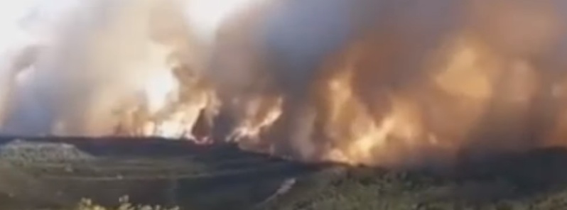 spain-catalonia-worst-wildfire-in-20-years