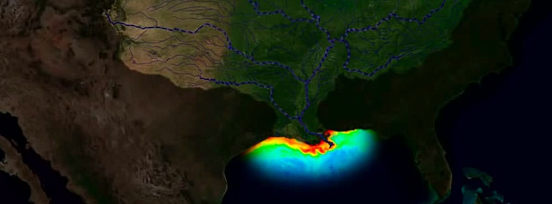 NOAA predicts very large 2019 dead zone for the Gulf of Mexico