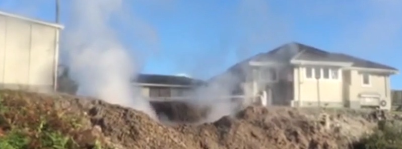 Mud flying everywhere – Geothermal mudpool opens in Rotorua backyard, New Zealand