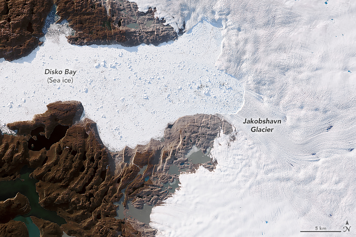 Largest glacier in Greenland is growing for third year in a row, thickening occurring across an increasingly wide area
