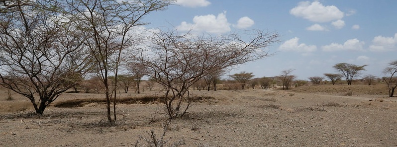 Persistent rainfall deficits, crop production significantly below average for second season, Kenya