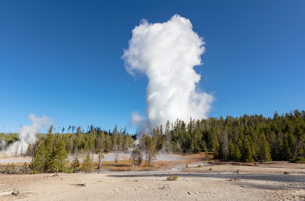 Yellowstone’s Steamboat geyser continues smashing records, annual eruptions record expected to fall this summer