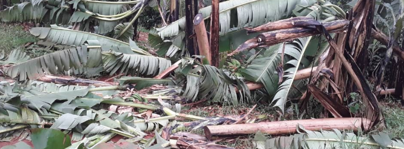 Severe hailstorm destroys 500 homes in Namutumba, Uganda