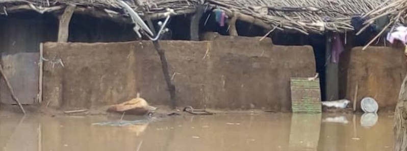 More than 800 homes destroyed by floods in Mali