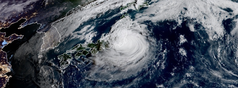 typhoon-faxai-agricultural-damage-chiba-japan