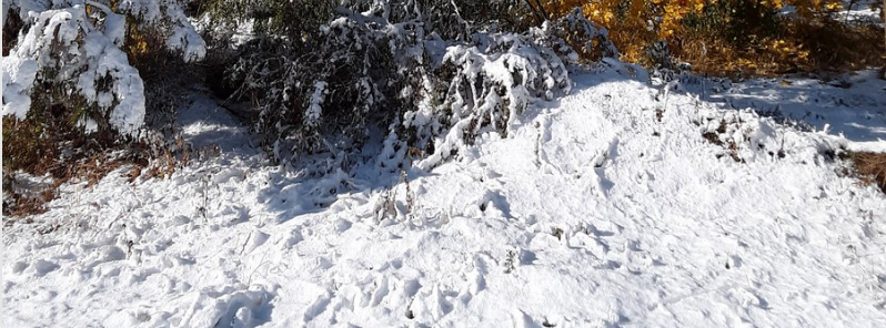 record-snowfall-wreaks-havoc-in-spokane-usa