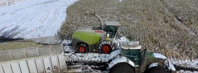 early-frost-and-snow-hinder-harvest-in-canada