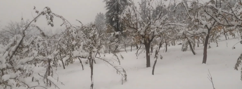 Unexpected persistent snowfall causes major damage to crops in Kashmir Valley, India