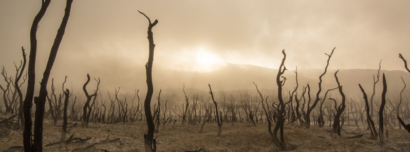 south-africa-facing-worst-drought-in-1-000-years