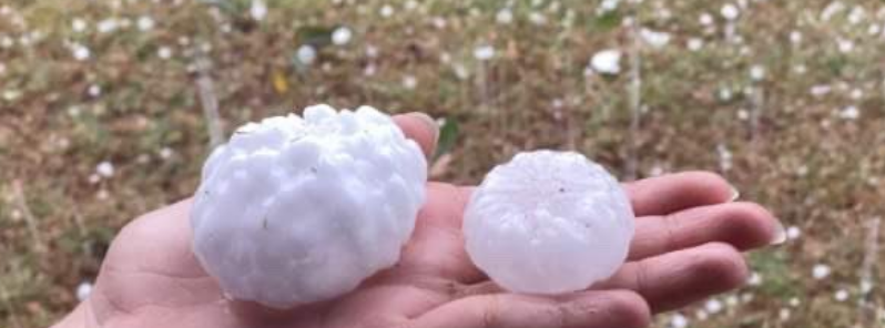Huge hailstones batter Queensland, causing significant damage to cars and homes, Australia