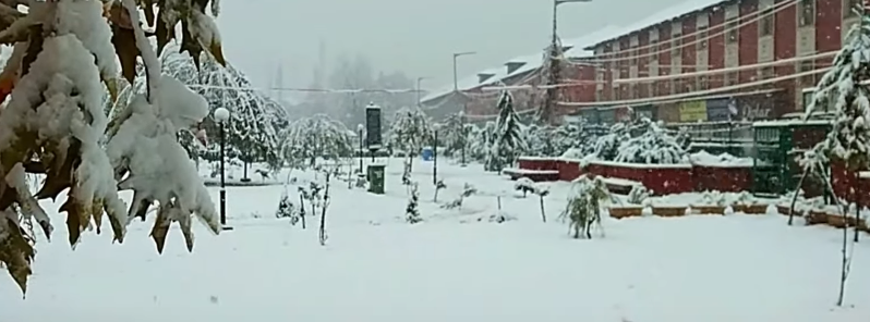 Incessant heavy snowfall causes chaos in Kashmir Valley, India