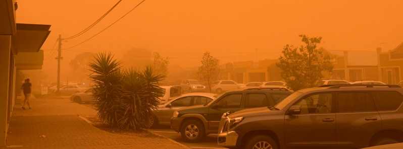 ‘Apocalyptic’ dust storm hits Mildura, Victoria on Code Red bushfire day, Australia