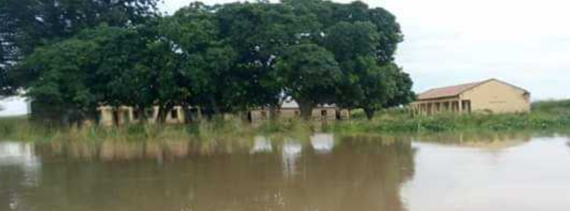 300 000 affected by worst floods in 7 years in Borno and Adamawa, Nigeria