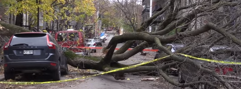 Ferocious windstorm leaves over 900 000 without power in Quebec, Canada