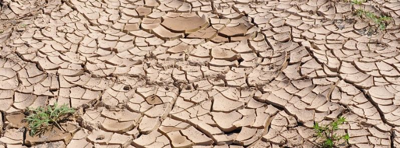 Worst drought in over a century pushes Namibia closer to famine