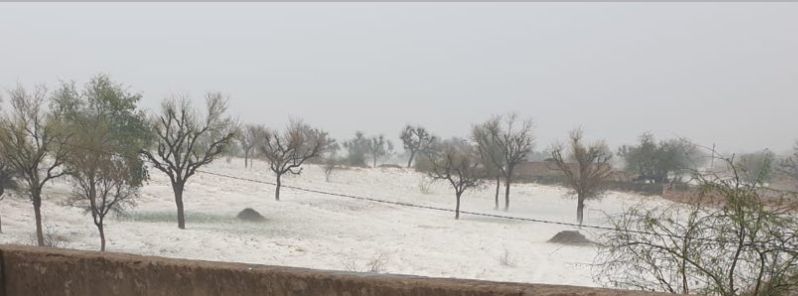 Intense hailstorm and heavy downpour lash Rajasthan, India