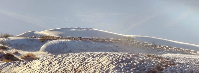 photo-report-snow-and-ice-in-deserts-of-ain-sefra-algeria