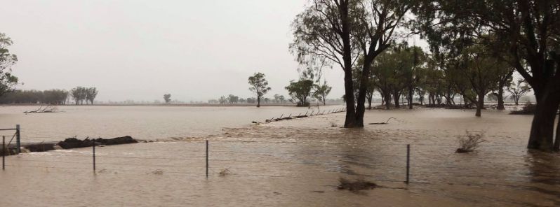 Rain dampens fire-hit parts of NSW and Victoria, Australia