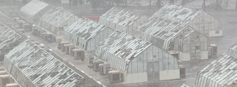 ‘Catastrophic’ Canberra hailstorm destroys decades of CSIRO research, Australia