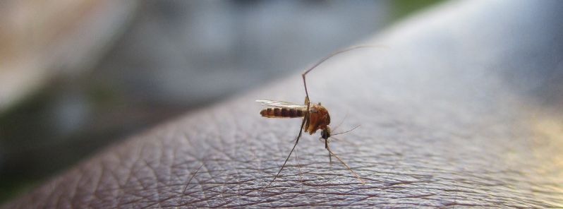 Dengue cases rise in Sri Lanka due to previously latent serotype 3 and changing weather patterns